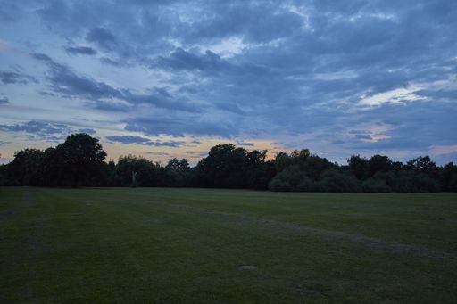 A beautiful shot of a big lawn near trees on a sunset background