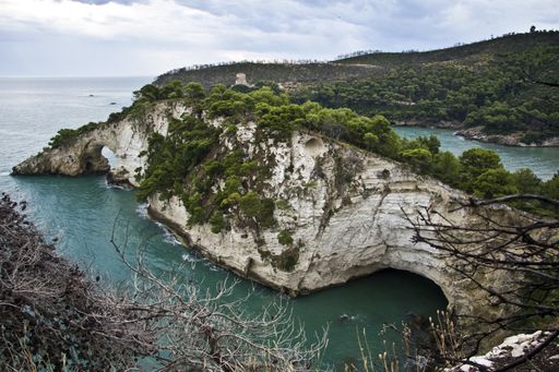 The cliffs covered in greenery surrounded by the sea under a cloudy sky at daytime