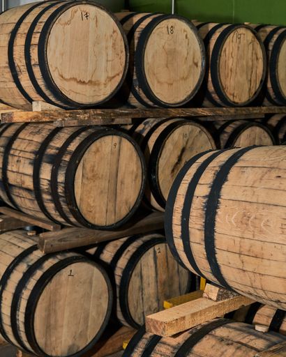 Oak wood barrels for tequila maturation industry concept