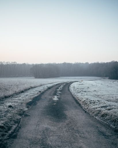 A vertical shot of a road in the middle of a snowy field surrounded with trees