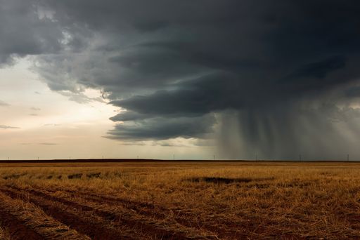 First rain of spring on an open plain after a long drought