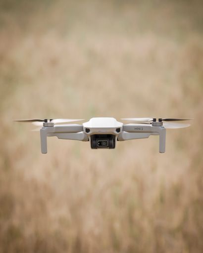 A DJI Mini 2 drone hovering over paddy field with blurred background