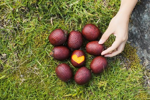 A top view of person's hand taking a moriche palm fruit on green ground