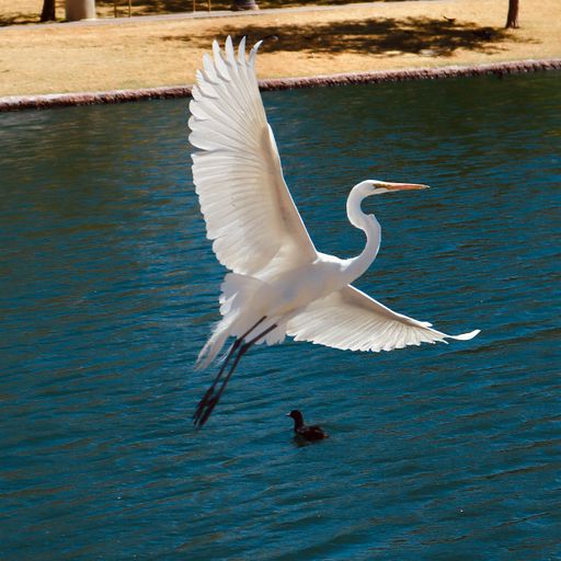 A beautiful shot of a gray heron flying over the sea