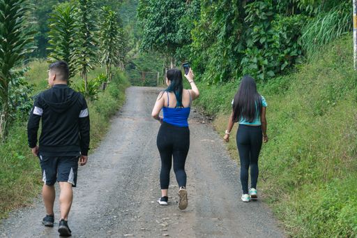 A back shot of Three youth hiking a beautiful trail in the coffee region near the city of Pereira-Colombia during daytime