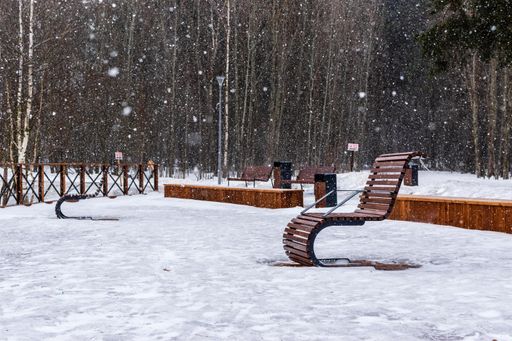 A beautiful view of a snowy park surrounded by tall trees in Moscow