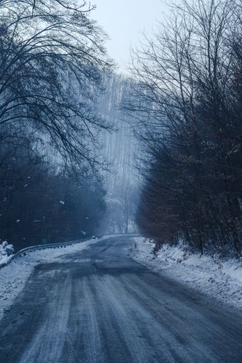 A vertical shot of the frozen and snowy surrounded by leafless and dry trees