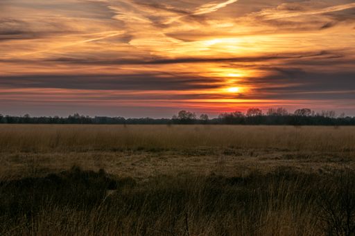 A view of a beautiful sunset painting the sky red and orange over a green field