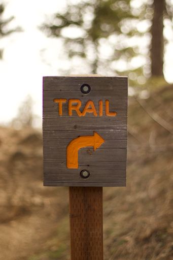 A vertical shot of a wooden sign showing the direction to the right for the trail