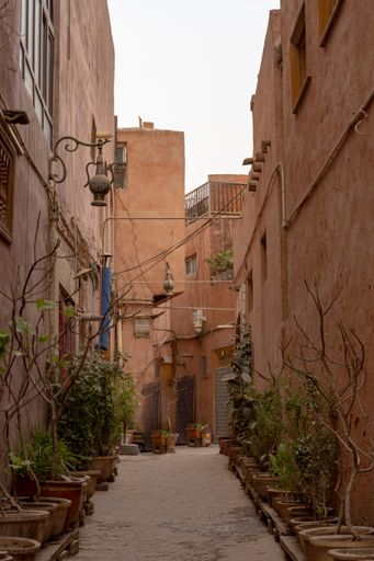 A vertical shot of an old narrow path with plants in the pots and ancient buildings