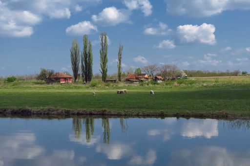 A scenic view of a countryside with sheep grazing on the shore of the reflective lake