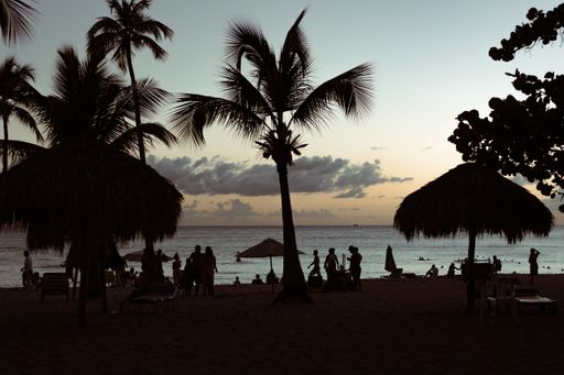 The silhouettes of the palm trees and people resting on the Bayahibe beach at sunset, Dominican Republic
