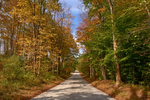 A beautiful shot of a road going through a forest in early fall