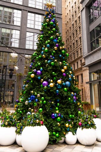 A vertical shot of a decorated Christmas tree in front of buildings in Philadelphia, United States