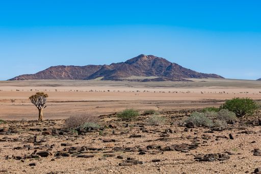 Namibia, panorama of the Namib desert, wild landscape with a dirt road in background
