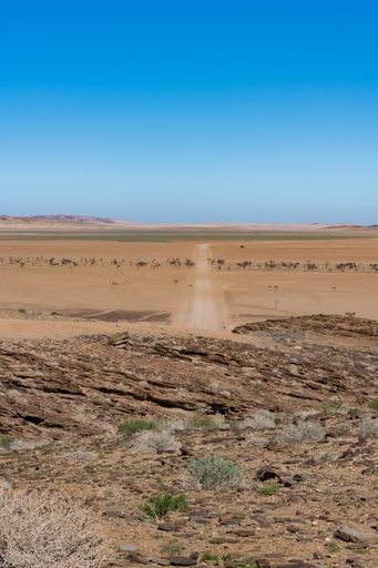 Namibia, panorama of the Namib desert, wild landscape with a dirt road in background