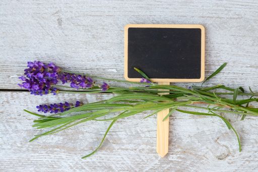 An overhead shot of a small wooden chalkboard with Lavender flower isolated on a wooden surface