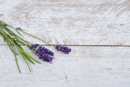 A closeup shot of lavender flowers laid on a wooden surface
