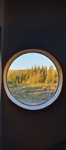 A vertical shot of a forest landscape view through a small circle window - great for wallpapers