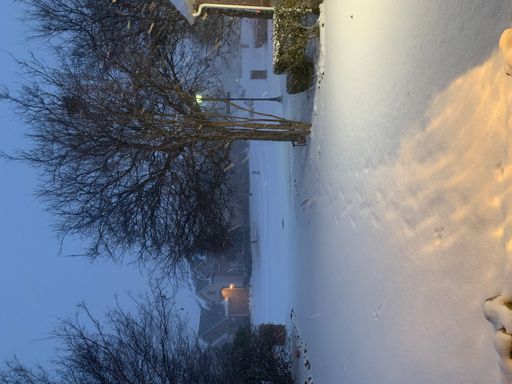 A vertical shot of a snowy landscape with houses and bare trees in McKinney, Texas