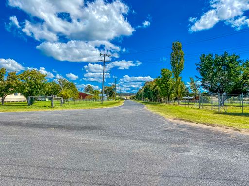 Beautiful view of an empty road surrounded with evergreen trees in New South Wales, Australia