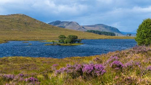 An aerial view of a natural landscape in Scotland, United Kingdom