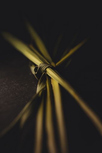 A vertical macro shot of green reed stems tied together in dark wall background