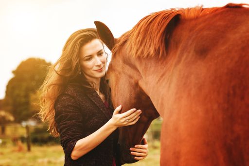 A closeup shot of a woman petting a horse in a green park with sunset in the background in Bruchkoebel, Germany