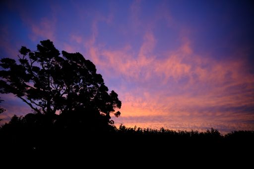 A beautiful shot of the sky at the sunset full of clouds and a big number of trees