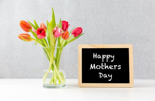 A closeup of colorful tulips in a Vase with a gray background