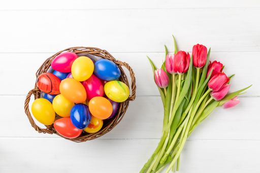 A closeup of an easter nest with colorful eggs and tulips on a white background