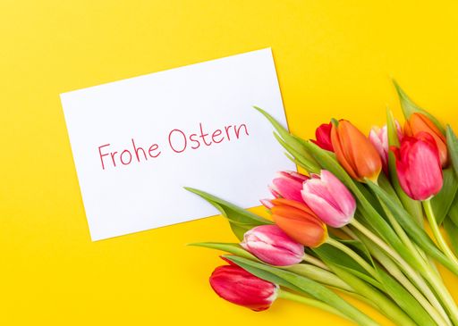 A closeup of colorful tulips on a yellow background with white paper