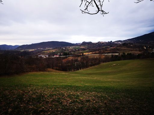 The cloudy sky over the green field with a flock of sheep and village houses seen far away