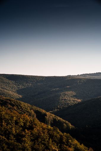 A vertical shot of mountains covered by trees