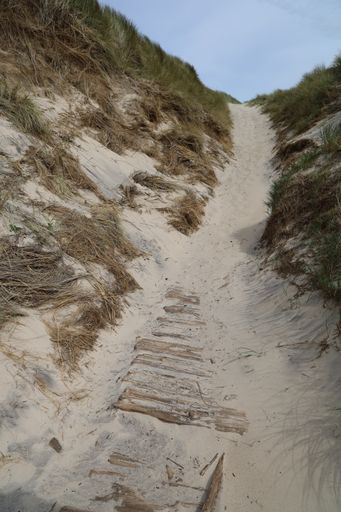 A vertical shot of sandy beach trail in Kaersgaard Strand, Denmark