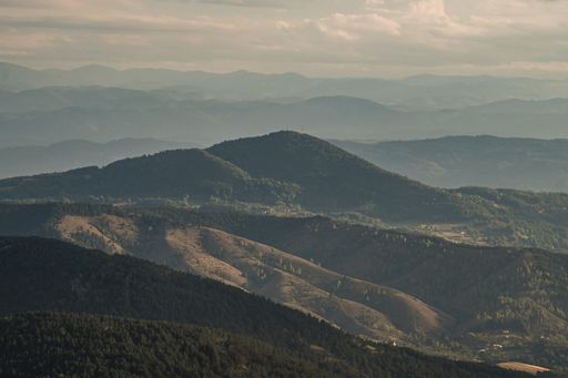 An aerial view of arid lands with dense forests and scattered bushes on a cloudy sky background