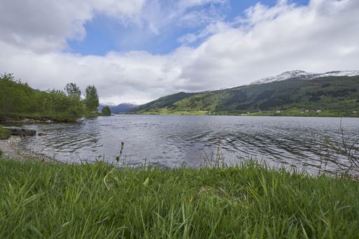 A beautiful shot of a lake near a green rural area