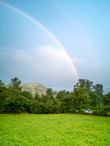 A park covered in greens and trees gleaming under the beautiful rainbow