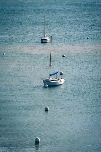 A vertical shot of yachts sailing on the calm blue water of the sea