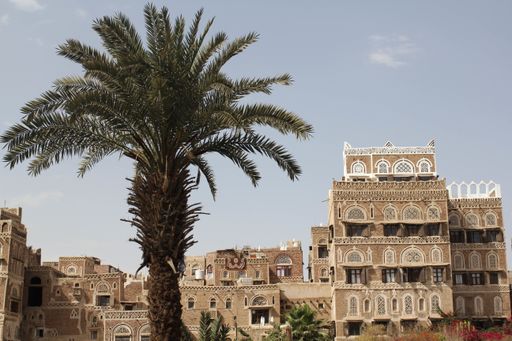 The buildings surrounded by palm trees under the sunlight at daytime in Sana'a, Yemen