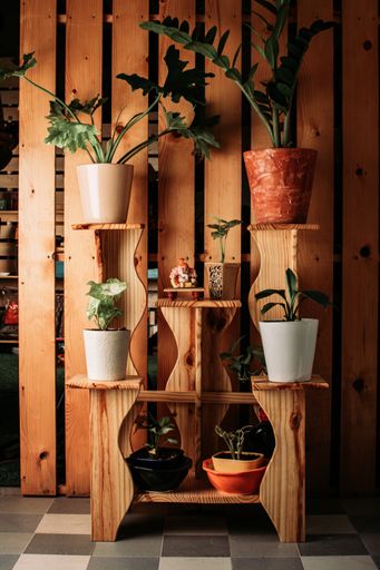 A vertical closeup shot of the various types of plants placed on a wooden shelf