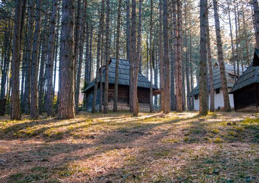 Old houses among trees in the forest in autumn