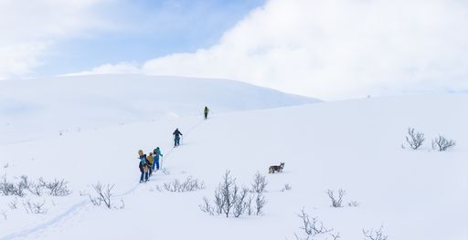 A wide shot of a group of people and a dog hiking in the mountains covered with snow under the cloudy sky