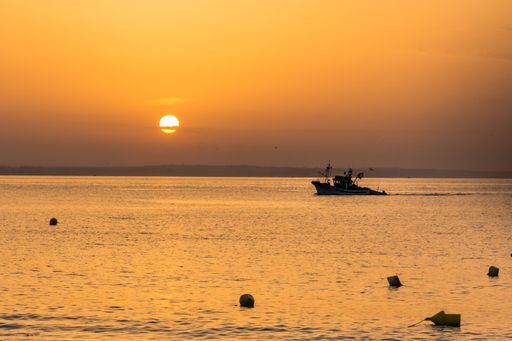 A closeup of Fishermen ship at morning sun returns into the port