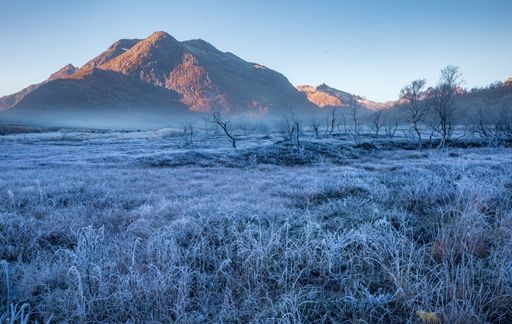 A horizontal shot of a grass field and bare trees covered with dew and high mountains in the background