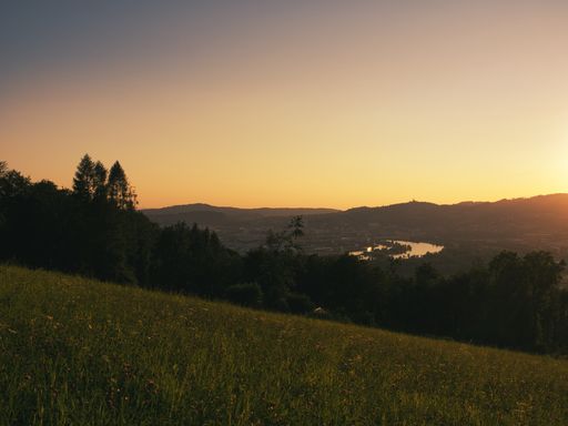 Landscape photo of the city of Linz by the Danube from a distance backlit by the evening sun, rounded out by a silhouette of trees on the left s