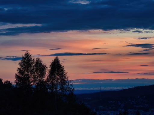Landscape photo of the city of Linz by the Danube from a distance backlit by the evening sun, rounded out by a silhouette of trees on the left side