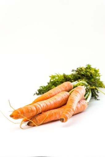 The fresh and tasty carrots isolated on a white background