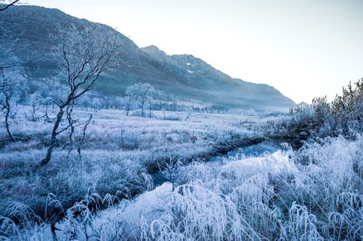 A beautiful horizontal shot of bare trees and grass covered in snow surrounded by high mountains under the blue sky