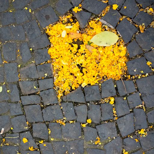 A closeup shot of heart-shaped yellow flower petals on the ground in Lisbon, Portugal